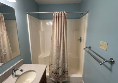 Hartmann - Bathroom Painting