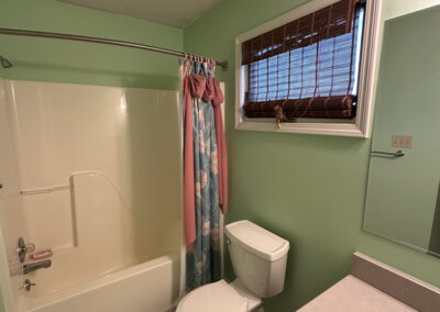 Hartmann - Bathroom Green Painting